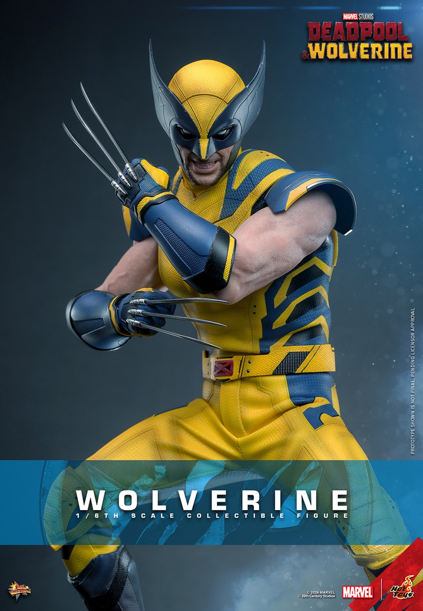 Wolverine Hot Toys sixth scale figure