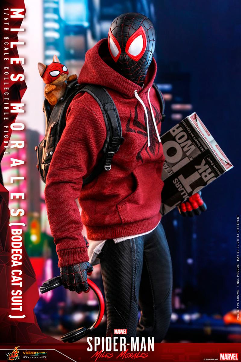 Miles Morales Bodega Cat Hot Toys sixth scale figure