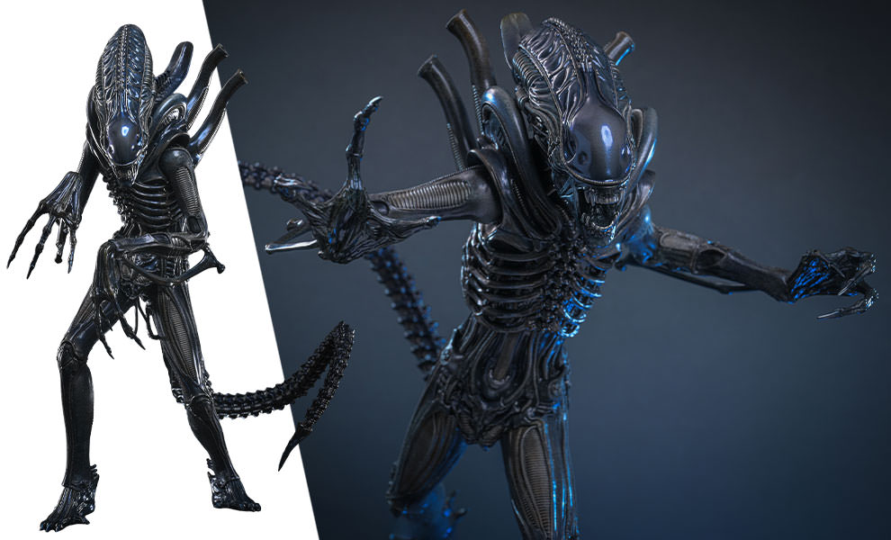 Alien Warrior Hot Toys sixth scale figure