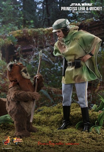 Princess Leia & Wicket Hot Toys sixth scale figure