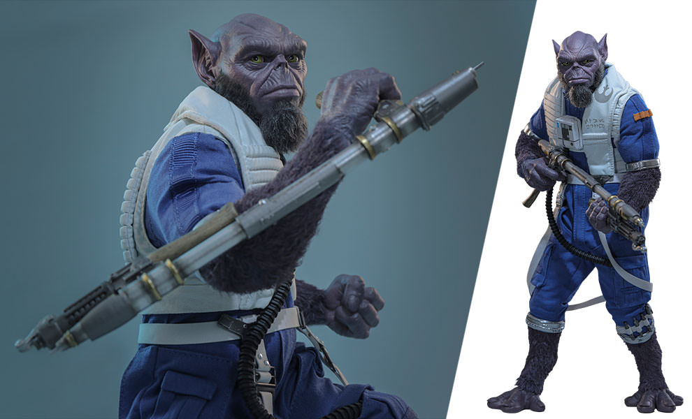 Zeb Orrelios Hot Toys sixth scale figure